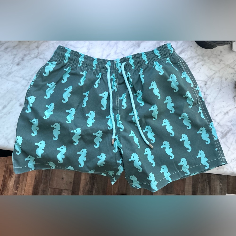 Switch Seahorse Swimming Trunks by Capelle Miami